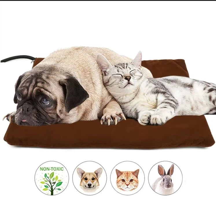 Can outdoor cat warming blankets be used for kittens?