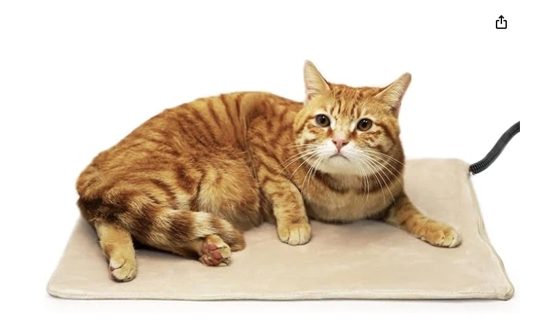 Are there any warming pads with a child - proof design for kittens?